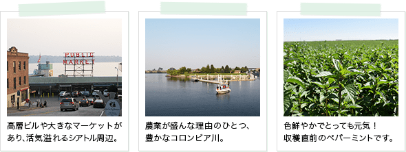 シアトル周辺のマーケット、コロンビア川、ペパーミント畑の以上3点の写真