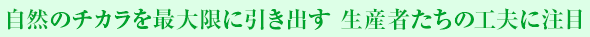 自然のチカラを最大限に引き出す 生産者たちの工夫に注目