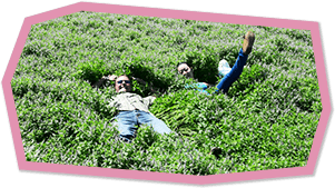 ミント畑の真ん中に男女2人が寝そべっている写真