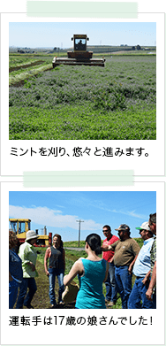 2点のポラロイド風写真の画像。1点目はミント畑で、カッティング作業をしている黄色い刈り取り機の写真でミントを刈り、悠々と進んでいます。2点目はカッティング作業を終えてトラクターから降りてきた17歳の娘さんの写真です。