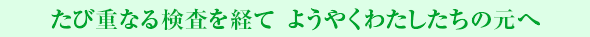 たび重なる検査を経て ようやくわたしたちの元へ