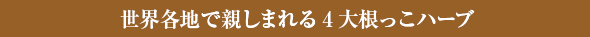 世界各地で親しまれる4大根っこハーブ