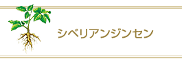 シベリアジンセン