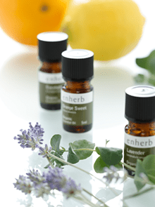 ハーブのイメージ画像