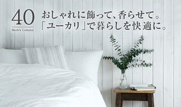 40 おしゃれに飾って、香らせて。「ユーカリ」で暮らしを快適に。