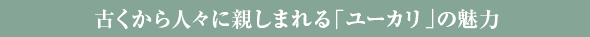 古くから人々に親しまれる「ユーカリ」の魅力