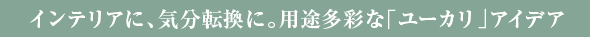 インテリアに、気分転換に。用途多彩な「ユーカリ」アイデア