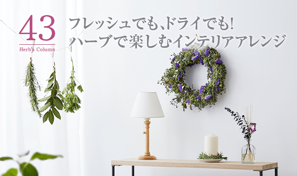 43 フレッシュでも、ドライでも！ ハーブで楽しむインテリアアレンジ