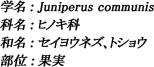 学名：Juniperus communis / 科名：ヒノキ科 / 和名：セイヨウネズ、トショウ / 部位：果実