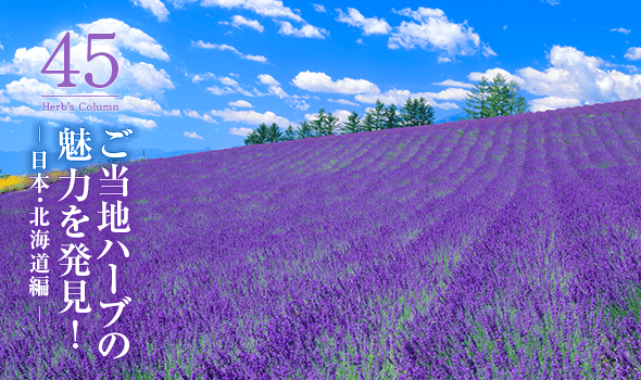 45 ご当地ハーブの魅力を発見！ - 日本・北海道編 -