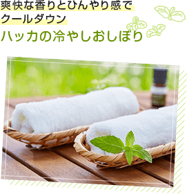 爽快な香りとひんやり感でクールダウン。ハッカの冷やしおしぼり