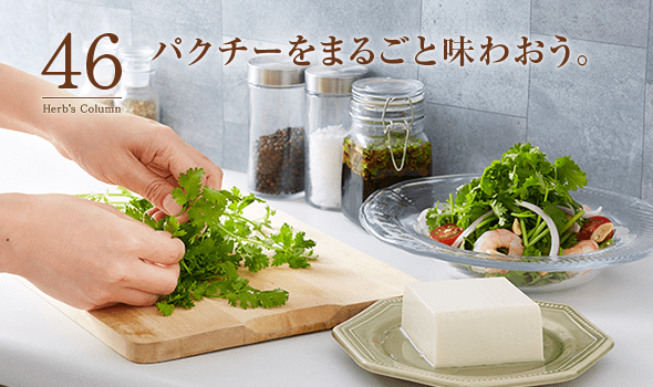 46 パクチーをまるごと味わおう。
