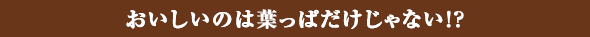 おいしいのは葉っぱだけじゃない！？