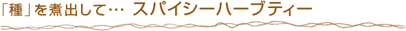 「種」を煮出して・・・ スパイシーハーブティー