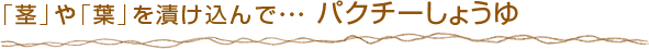 「茎」や「葉」を漬け込んで・・・ パクチーしょうゆ