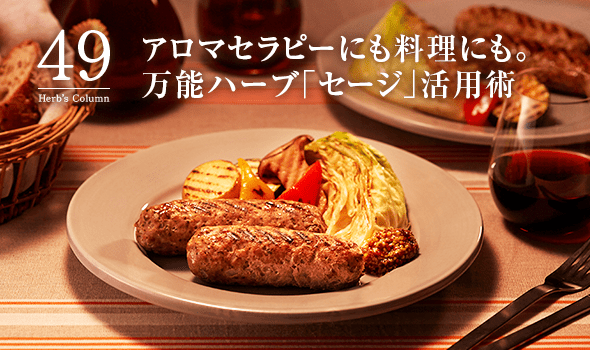 49 アロマセラピーにも料理にも。万能ハーブ「セージ」活用術
