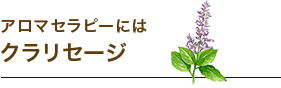 アロマセラピーにはクラリセージ