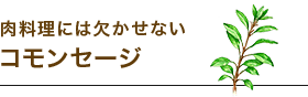 肉料理には欠かせないコモンセージ