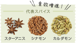 代表スパイス（スターアニス、シナモン、カルダモン）の画像