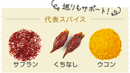代表スパイス（サフラン、くちなし、ウコン）の画像