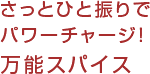 さっとひと振りでパワーチャージ！ 万能スパイス