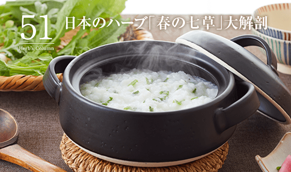 51 日本のハーブ「春の七草」大解剖