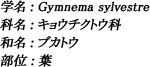 学名：Gymnema sylvestre / 科名：キョウチクトウ科 / 和名：ブカトウ / 部位：葉
