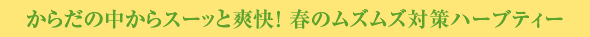 からだの中からスーッと爽快！ 春のムズムズ対策ハーブティー