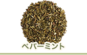 ペパーミント