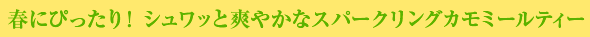 春にぴったり！ シュワッと爽やかなスパークリングカモミールティー