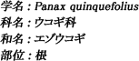 学名：Panax quinquefolius / 科名：ウコギ科 / 和名：エゾウコギ / 部位：根