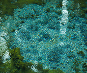 「清らかな水の音」のイメージ画像