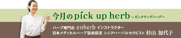 今月のピックアップハーブ / ハーブ専門店 エンハーブ インストラクター 日本メディカルハーブ協会認定 ハーバルセラピスト 杉山 加代子 