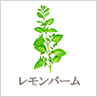 レモンバーム