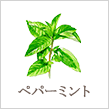 ペパーミント