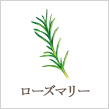 ローズマリー