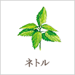 ネトル