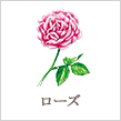 ローズ