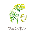 フェンネル