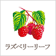 ラズベリーリーフ