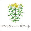 セントジョーンズワート