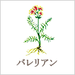 バレリアン