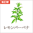 レモンバーベナ