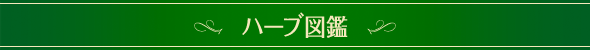 ハーブ図鑑