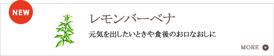 レモンバーベナの紹介バナーです。元気を出したいときや食後のお口なおしに