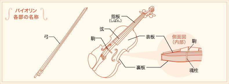 バイオリン各部の名称