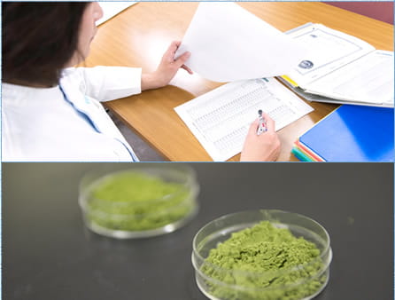 品質部門の仕事