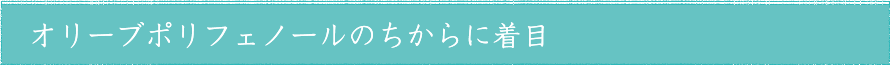 オリーブポリフェノールのちからに着目