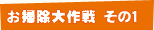 お掃除大作戦 その1