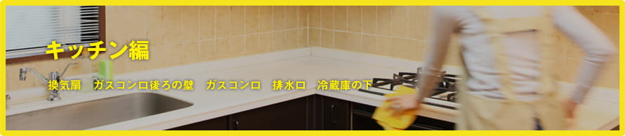 キッチン編 換気扇　ガスコンロ後ろの壁　ガスコンロ　排水口　冷蔵庫の下